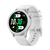 Space Silver
