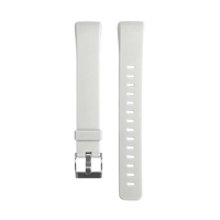 Glacier Branco